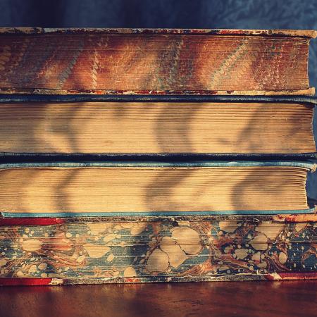 Referencias bibliográficas