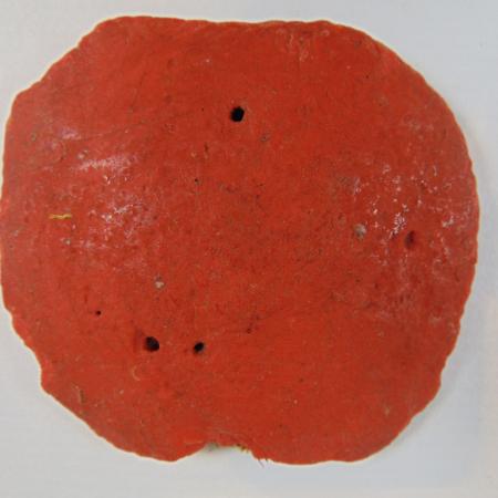 Sello menor Jaime II ACA 42 reverso