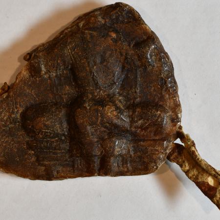 sello mayestatico de Pedro II